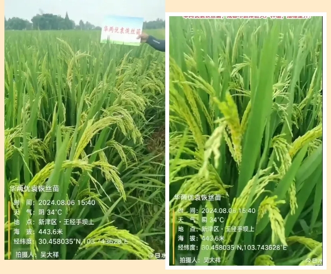 微信截圖_20250319091824.png